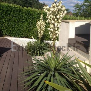 terrasse-brun exotique.jpg